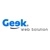 Geek Web Solution