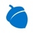 Blue Acorn ICI