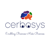 Cerbosys Technologies