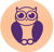 Smart Owl Info Systems