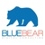 Blue Bear Digital Consulting