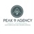 Peak 9 Agency