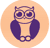 Smart Owl Info Systems